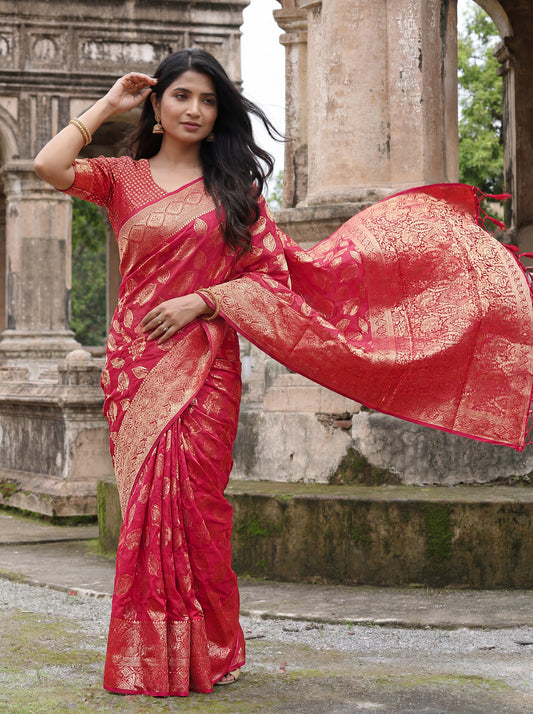 Prismatic Organza Saree