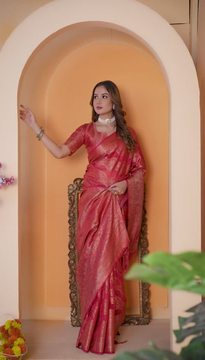 Organza Saree with Woven Geometric Zari Pattern